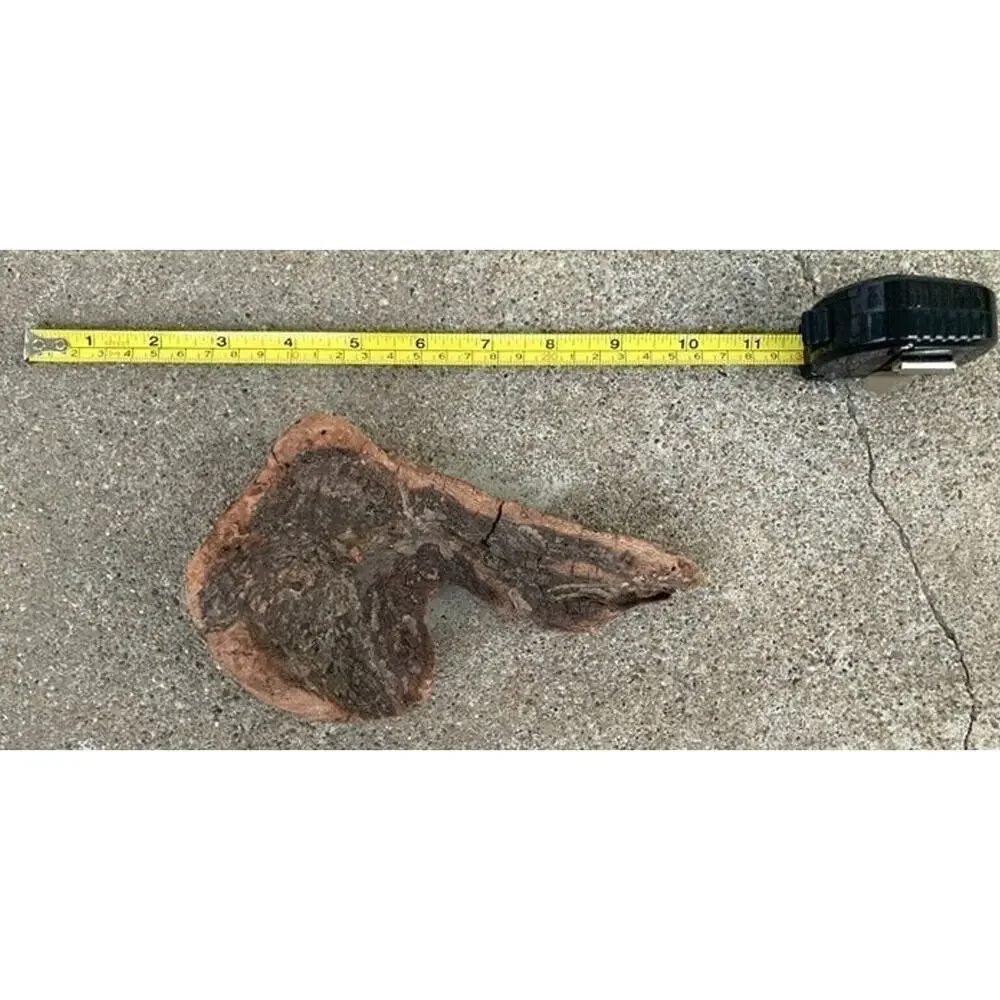 Ohio River Driftwood 7